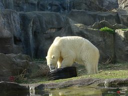 Tiergarten Schönbrunn am 23.03.2023